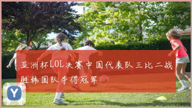 亚洲杯LOL决赛中国代表队三比二战胜韩国队夺得冠军