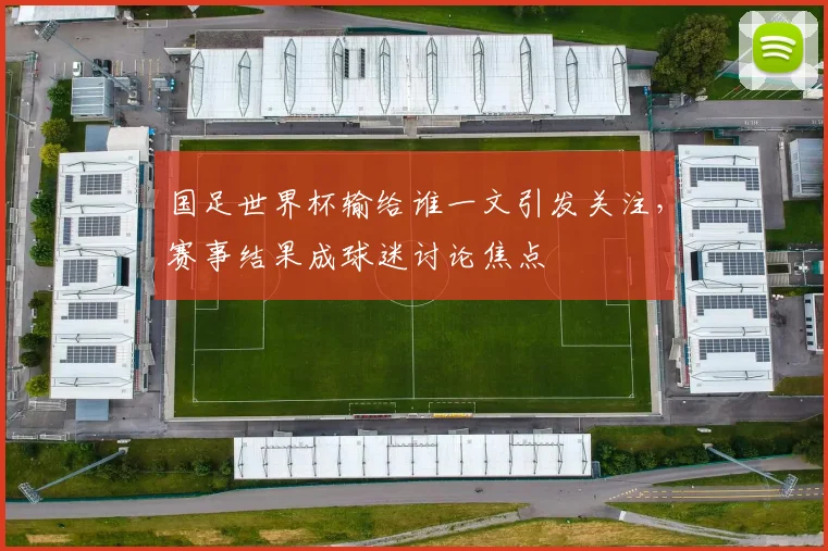 国足世界杯输给谁一文引发关注,赛事结果成球迷讨论焦点
